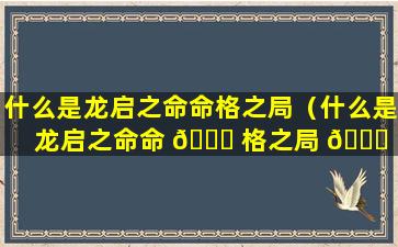 什么是龙启之命命格之局（什么是龙启之命命 🐋 格之局 🐕 的人）